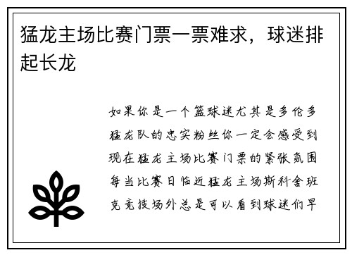 猛龙主场比赛门票一票难求，球迷排起长龙